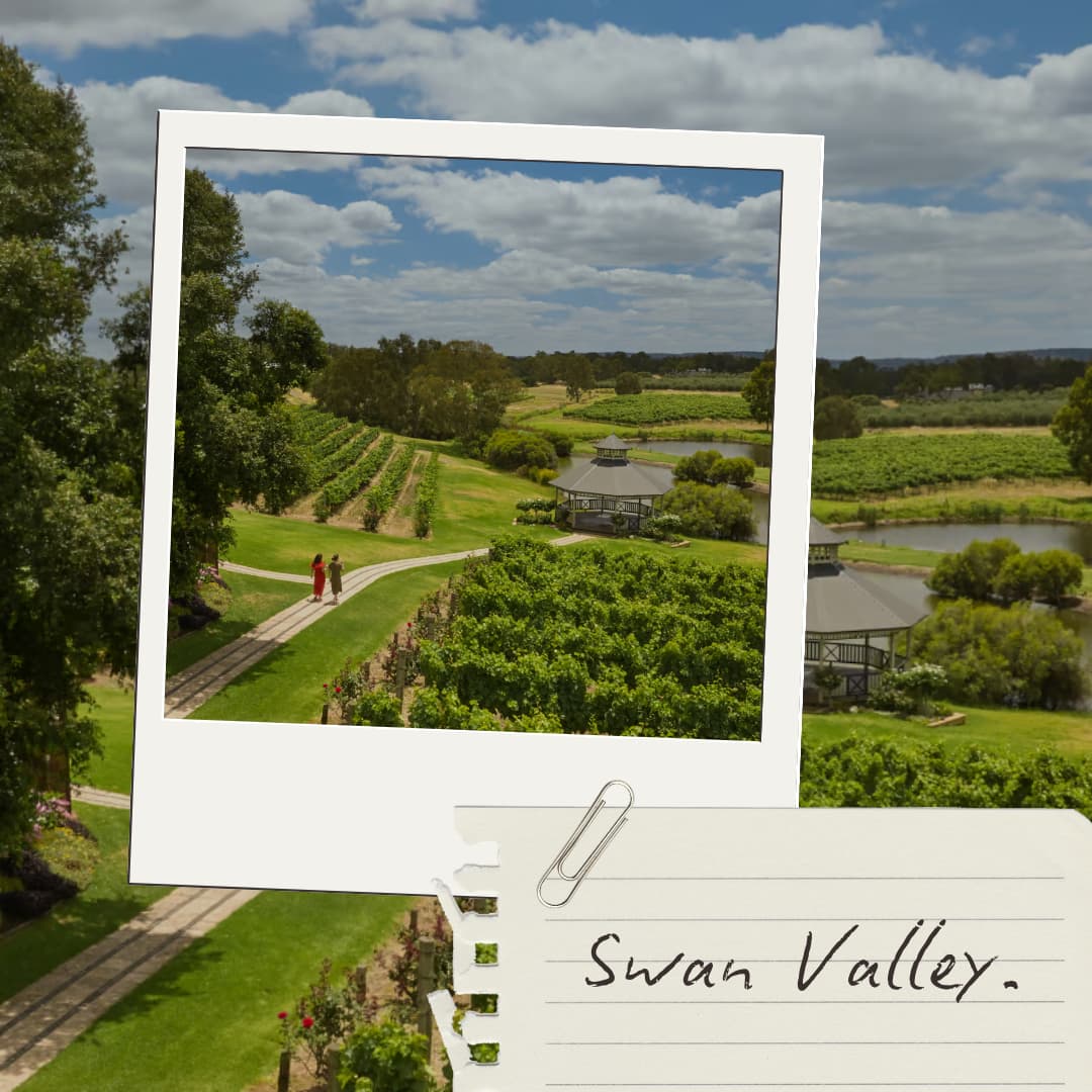 swan valley perth