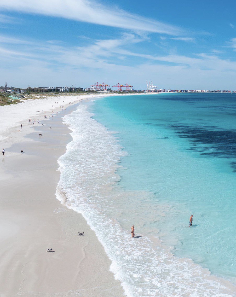 Leighton Beach | Most Pet-friendly beach in Perth